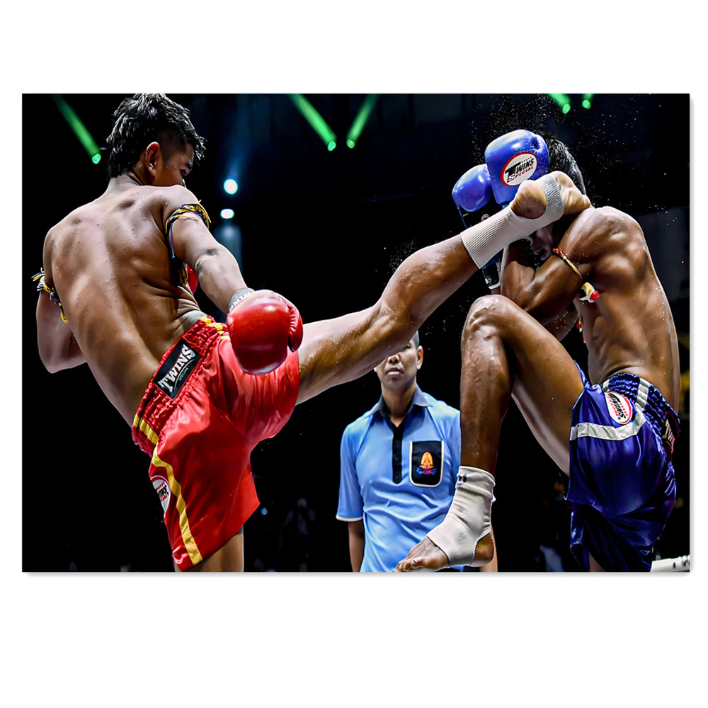 Home Gym Furniture - Muay Thai Kick Canvas Painting Fighter