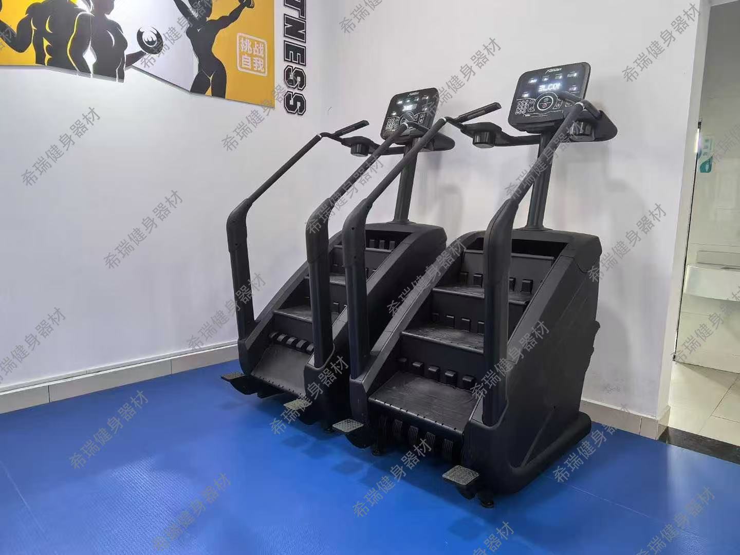 Commercial Cardio Equipment Ex - Home Gym Used 评论和价格