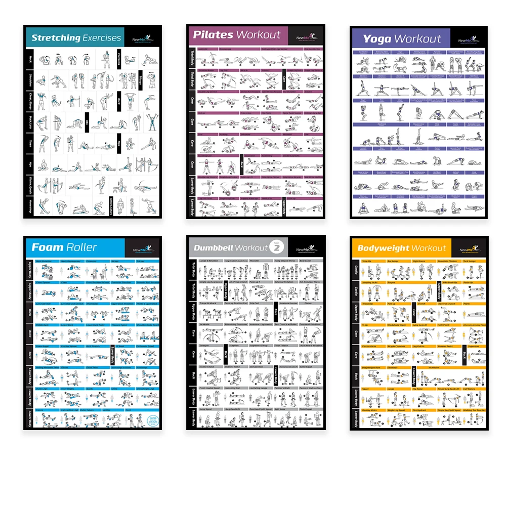 Body Exercise Training Chart W - Home Gym House 评论和价格