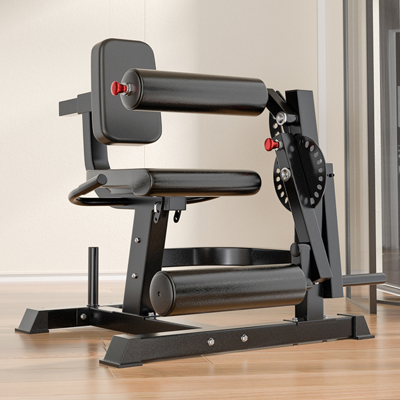 Adjustable 6 Position Workout  - Home Gym Leg Extension Machine 评论和价格