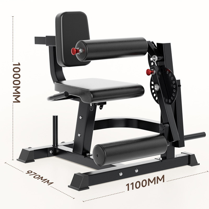 Adjustable 6 Position Workout  - Home Gym Leg Extension Machine 评论和价格
