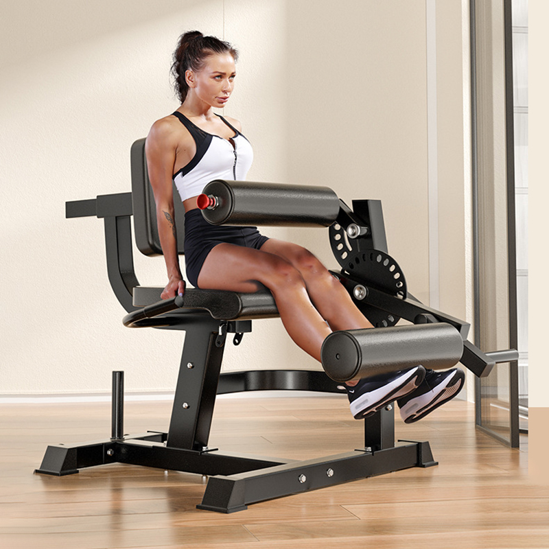 Adjustable 6 Position Workout  - Home Gym Leg Extension Machine 评论和价格