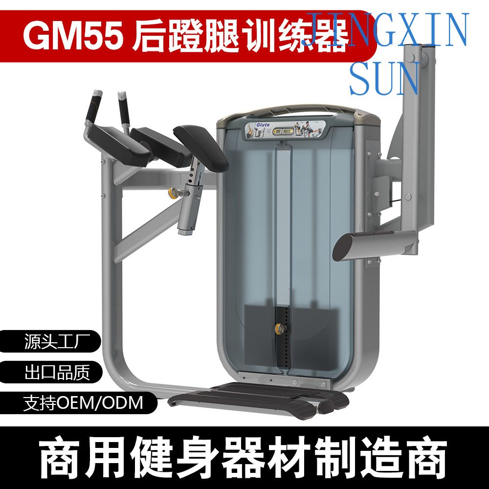 Commercial Standing Back Push  - Home Gym Leg Extension Machine 评论和价格