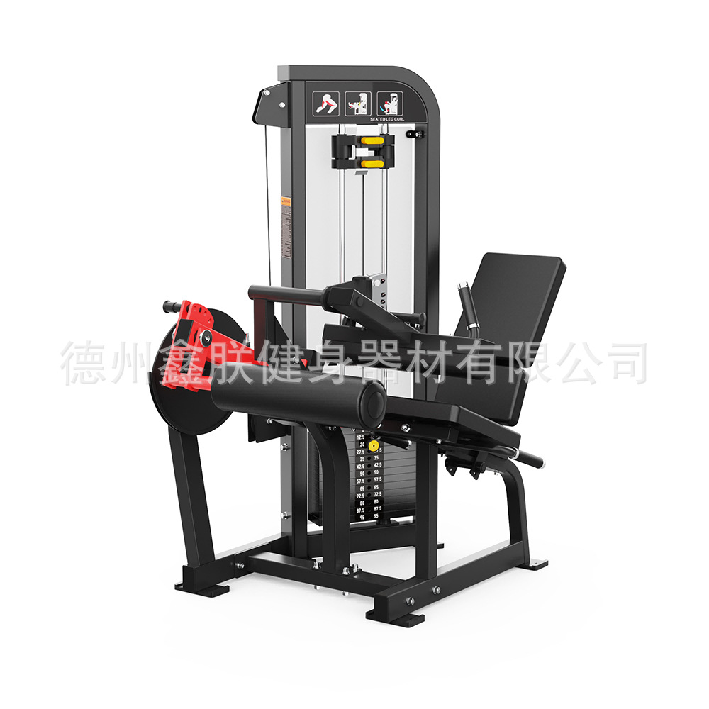 Gym Hammer Strength Equipment  - Home Gym Leg Extension Machine 评论和价格