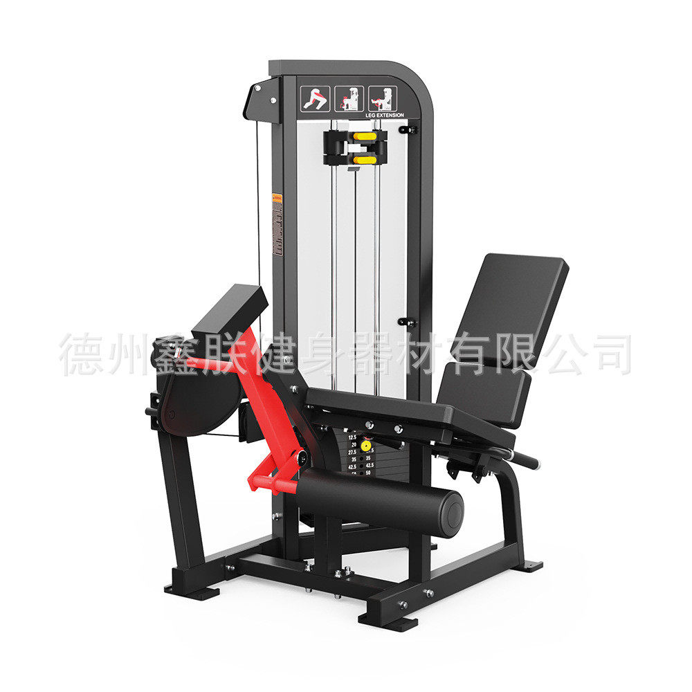 Gym Hammer Strength Equipment  - Home Gym Leg Extension Machine 评论和价格