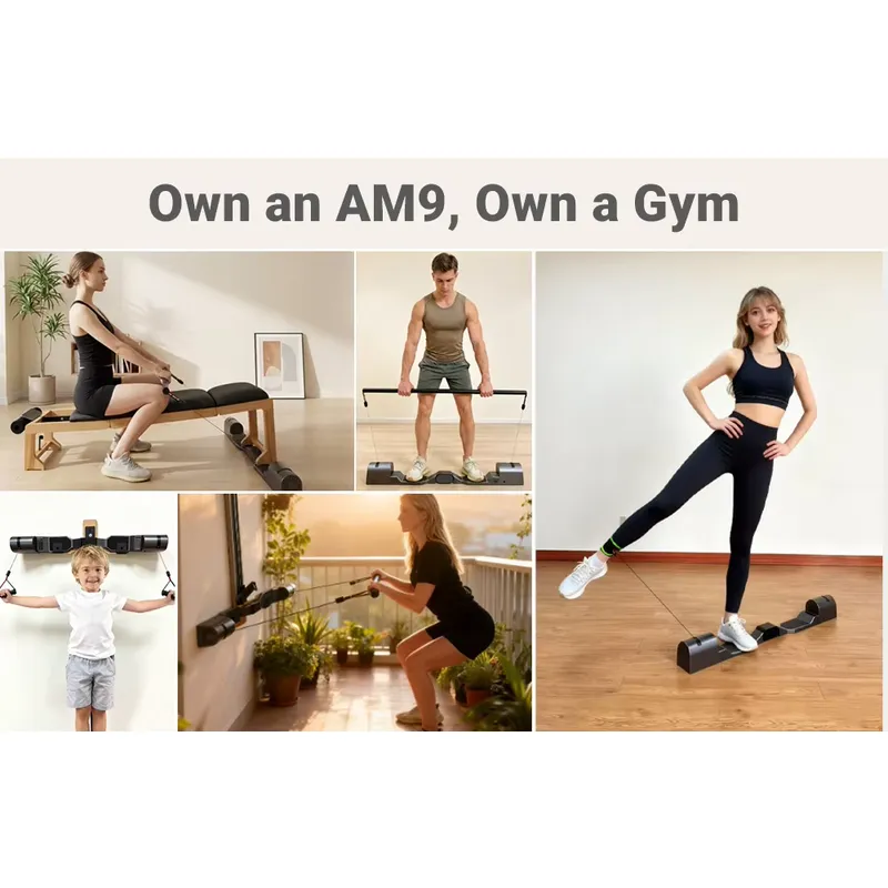 AM9 Professional Home Gym Fitn - Home Gym Leg Extension Machine 评论和价格