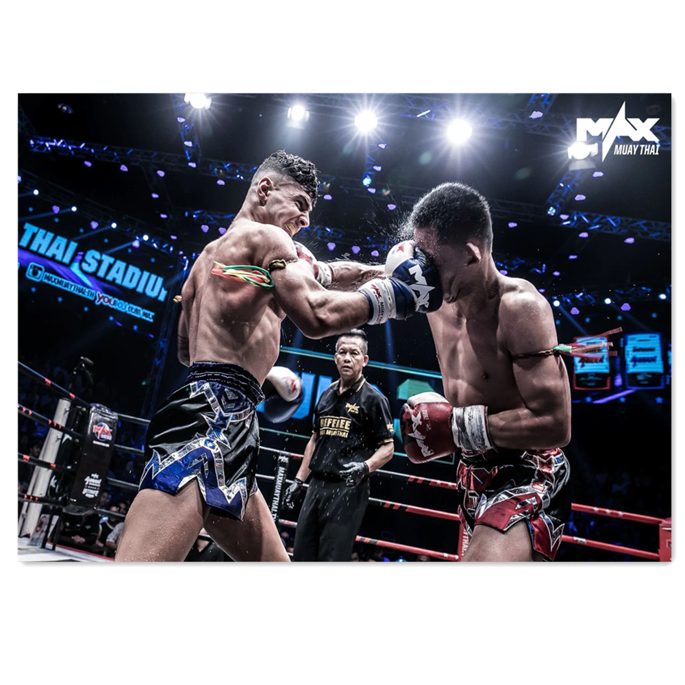 Watercolor Boxing Canvas Paint - Home Gym Furniture 评论和价格