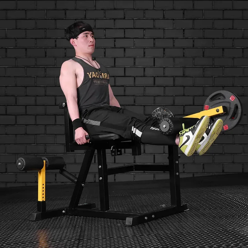 Leg Extension and Curl Machine - Home Gym Leg Extension Machine 评论和价格