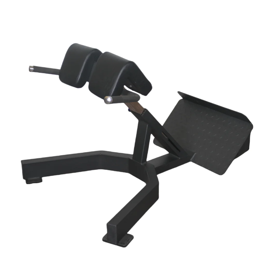 Factory Price Roman Chair Back - Home Gym Leg Extension Machine 评论和价格